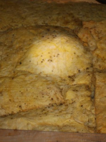 Schimmelpilzschäden